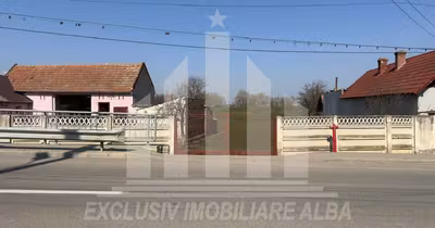 Teren Partoș
