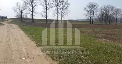 Teren Partoș