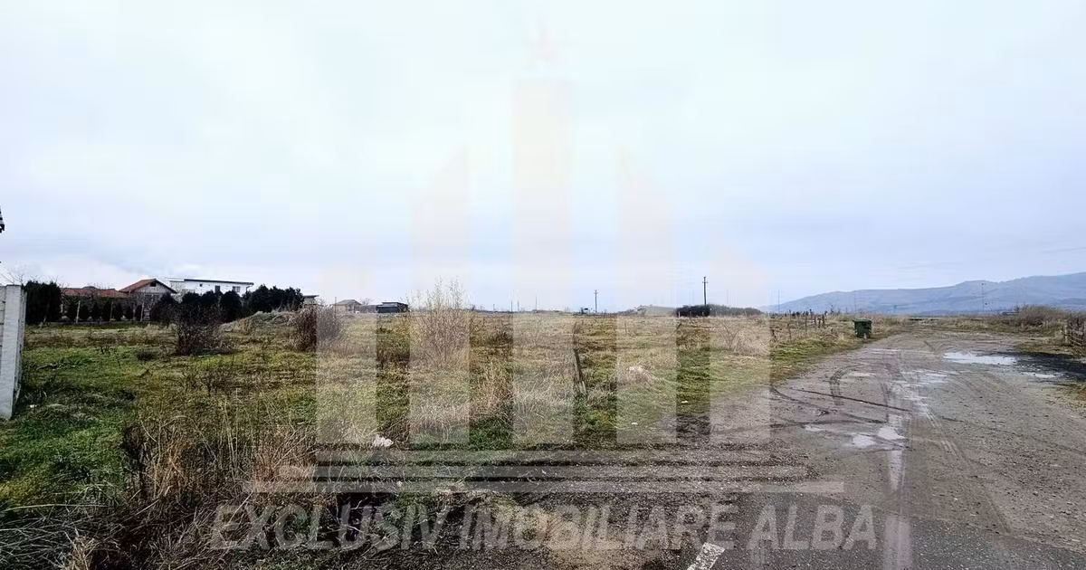 Teren Construcții intravilan de vânzare de 5500 mp, în Sebeș