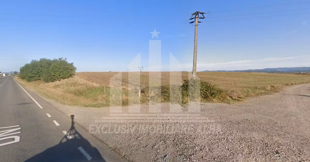Teren agricol extravilan de vânzare de 15000 mp, în Aurel Vlaicu