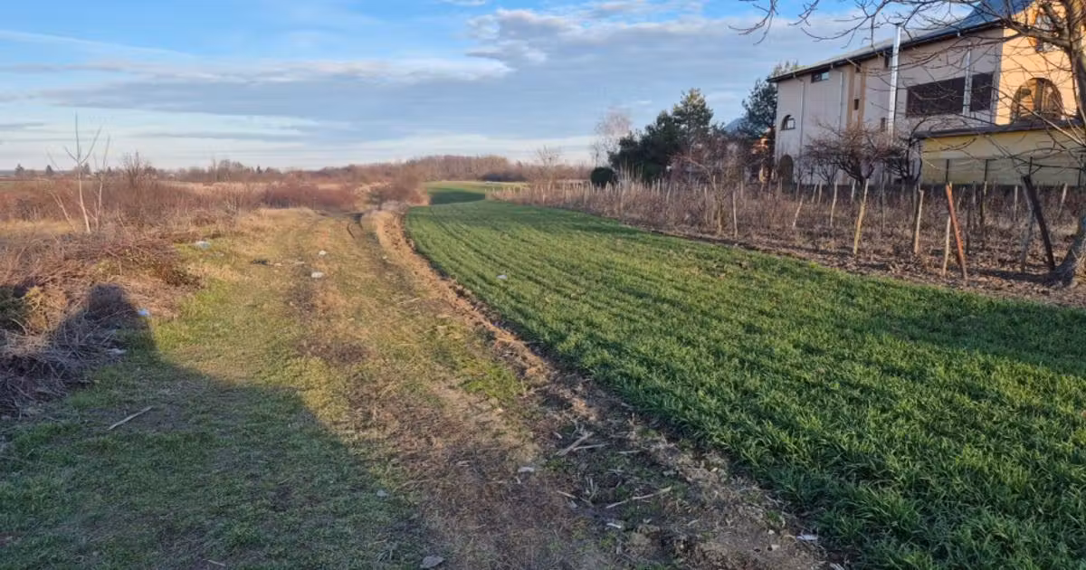Teren Construcții intravilan de vânzare de 12500 mp, în Grădinari