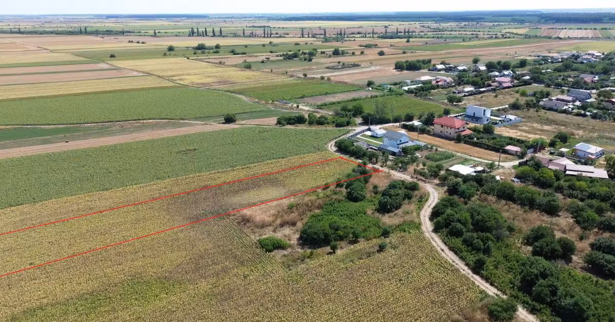 Teren Construcții intravilan de vânzare de 10000 mp, în Dârza