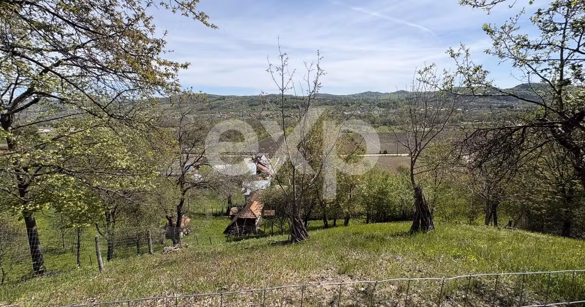 Teren Construcții intravilan de vânzare de 14613 mp, în Bârseștii de Sus