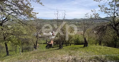 Teren Bârseștii de Sus