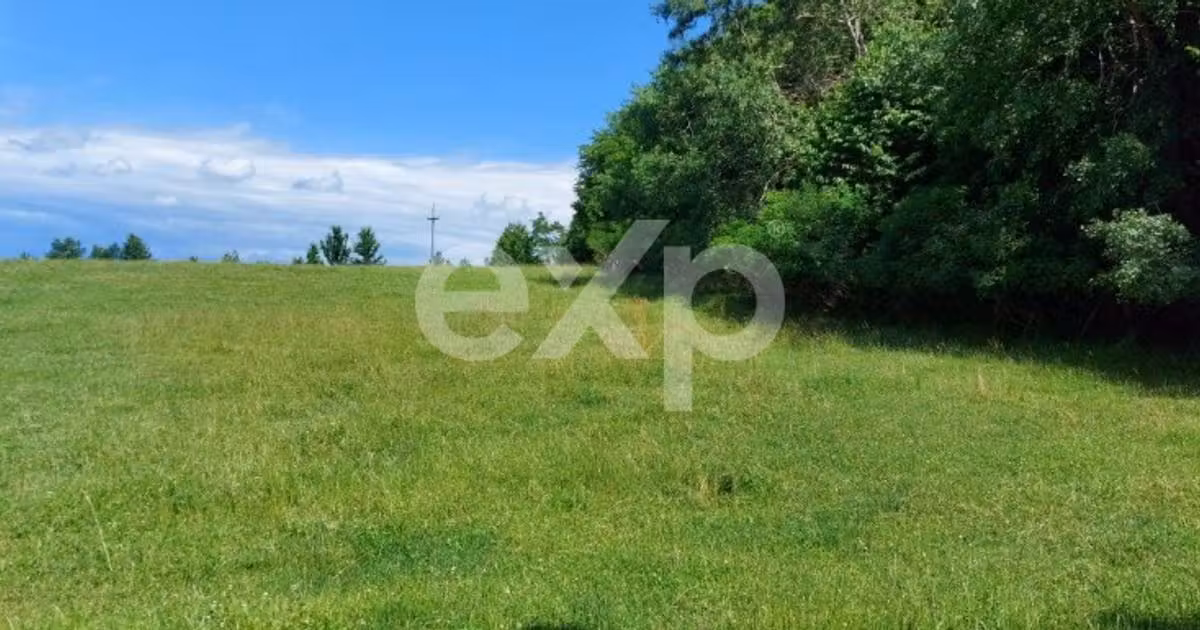 Teren agricol extravilan de vânzare de 400 mp, în Techirghiol