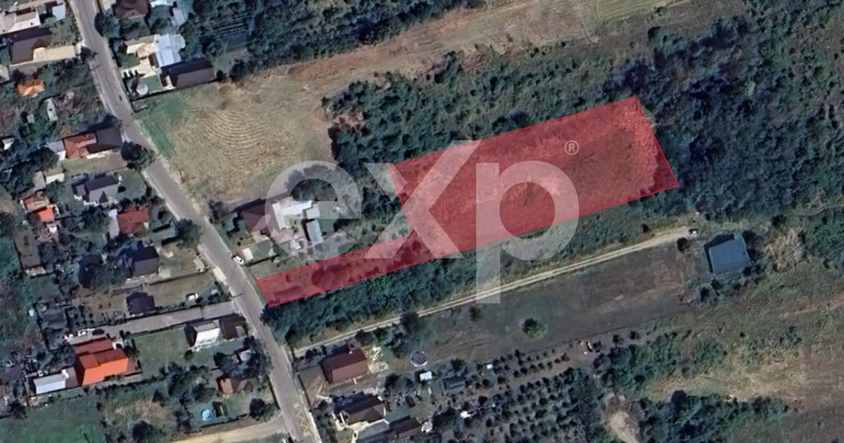 Teren Construcții intravilan de vânzare de 5000 mp, în Moșoaia