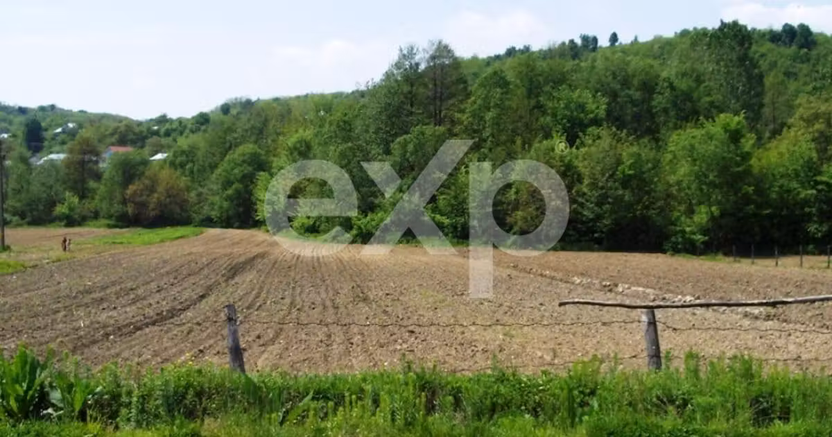 Teren · 588700 m², Bogați, Topoloveni