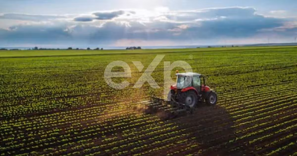 Teren agricol extravilan de vânzare de 23000 mp, în Mareș