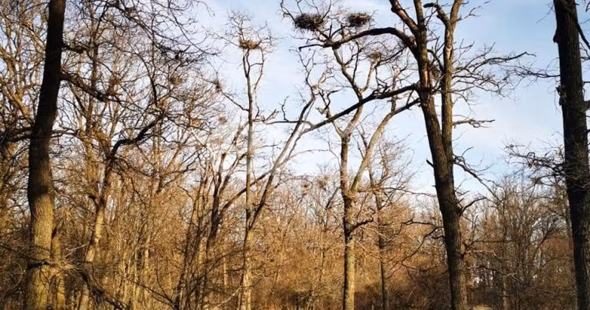 Teren · 20000000 m², Oarja, Costești