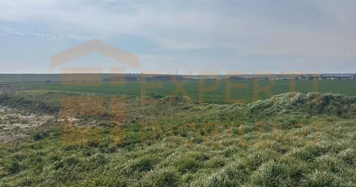 Teren Construcții intravilan de vânzare de 10000 mp, în Valu lui Traian