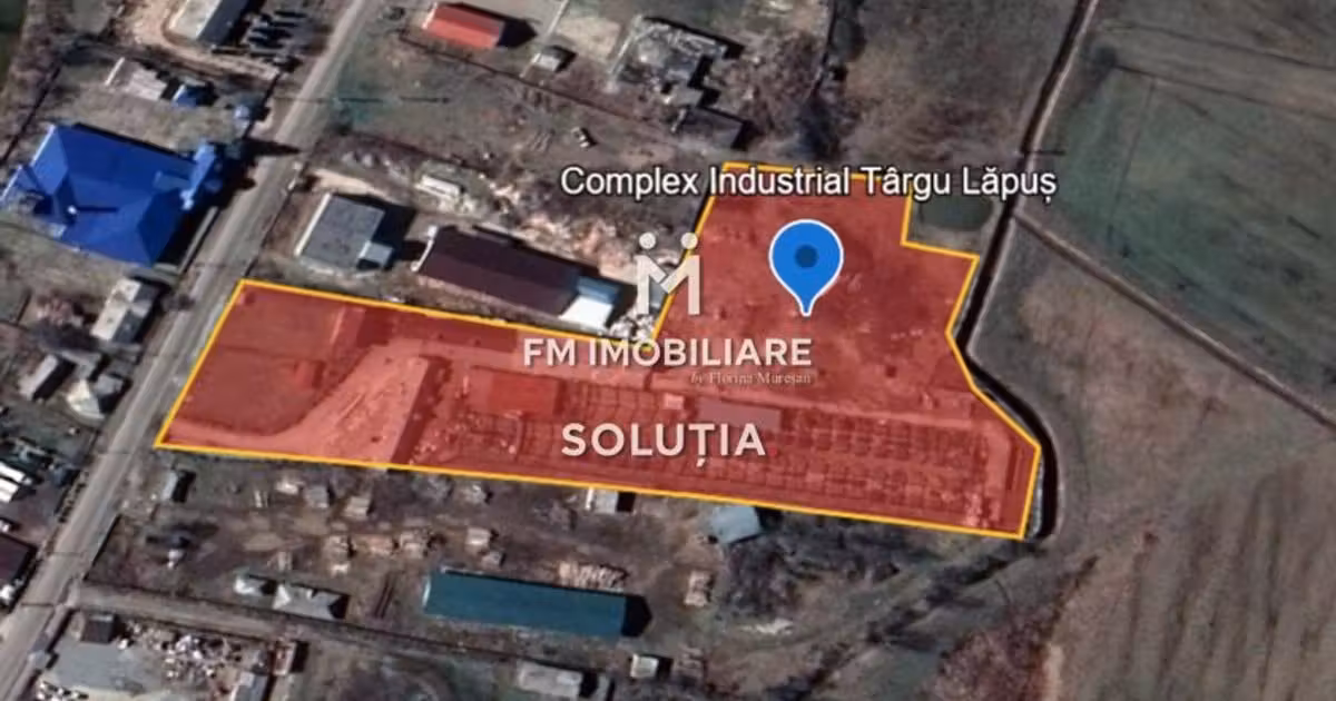 Spațiu industrial de vânzare în Târgu Lăpuș