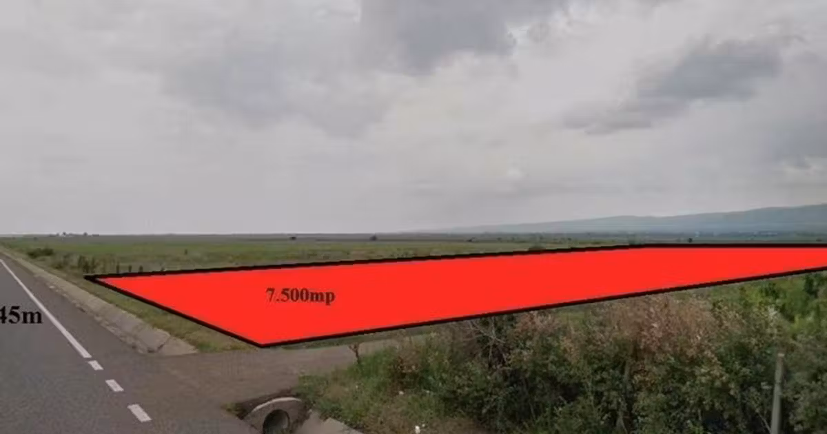 Teren agricol extravilan de vânzare de 7500 mp, în Bolotești