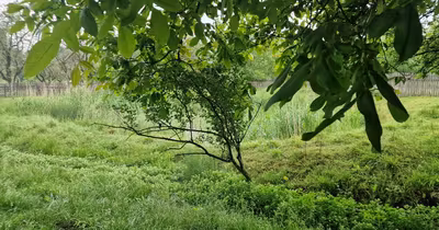 Casă Grumăzești