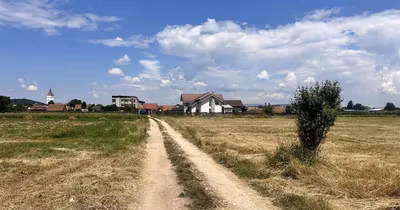Teren Tractorul