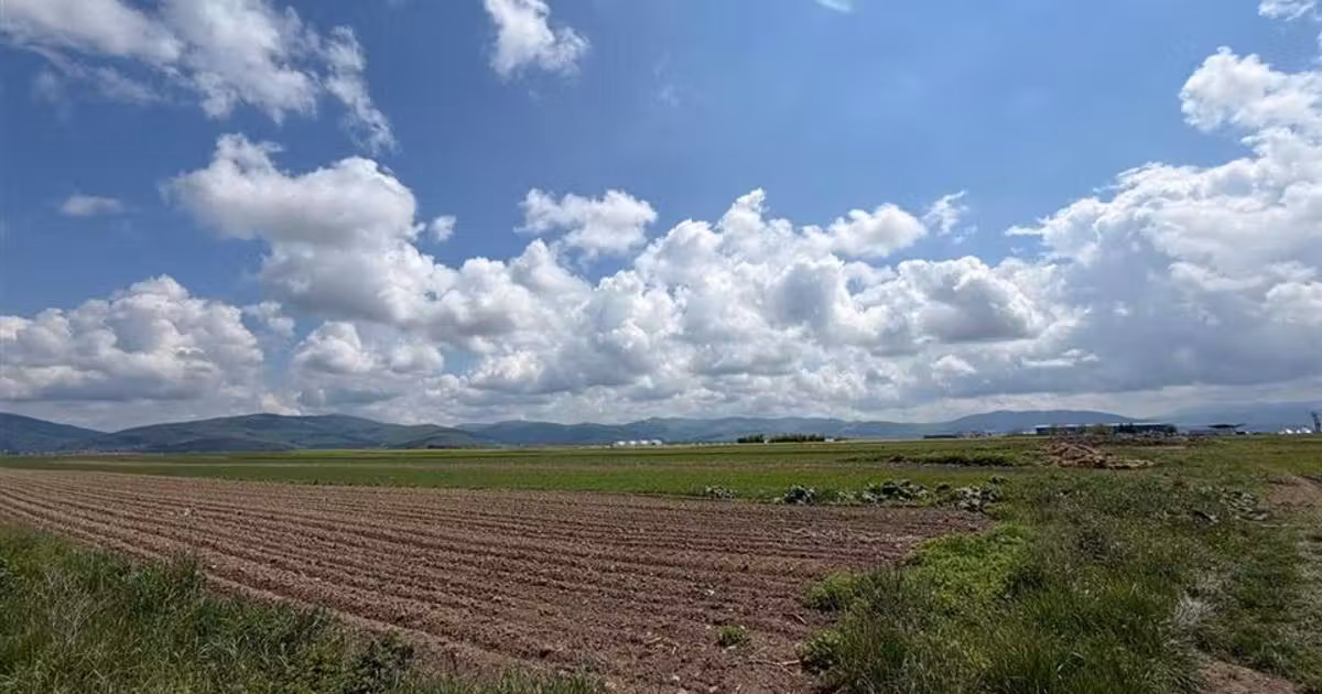 Teren agricol extravilan de vânzare de 10 mp, în Prejmer