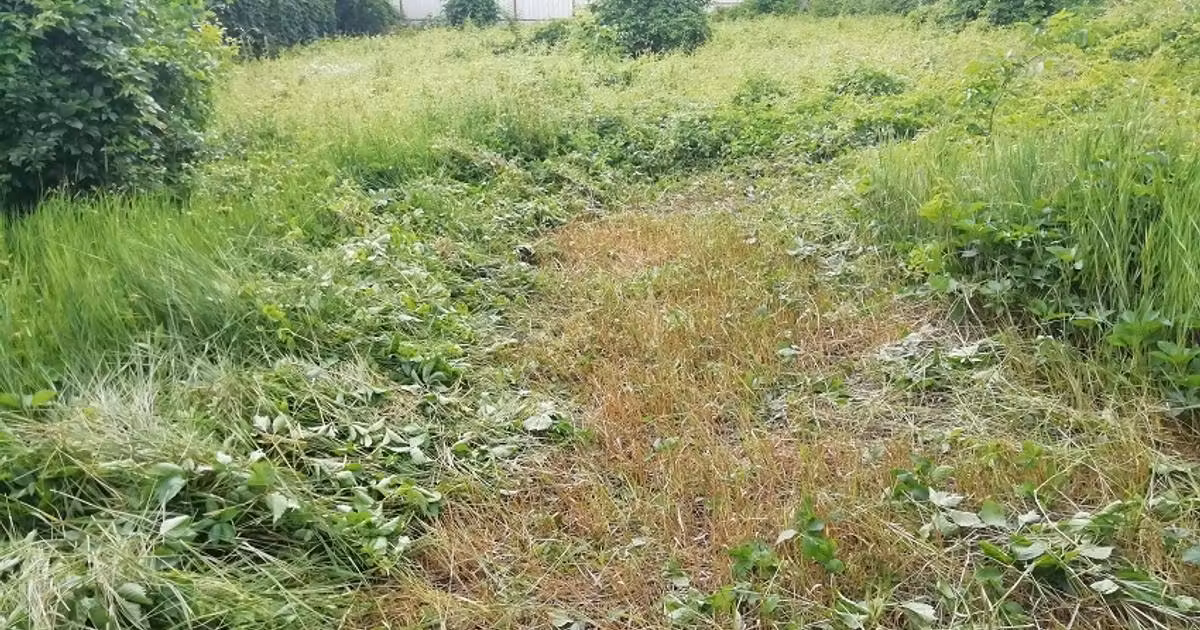 Casă de vânzare cu 5 camere în zona Precista, Piatra-Neamț