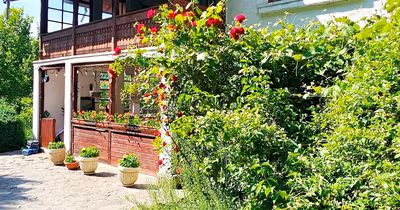 Casă Exterior Nord