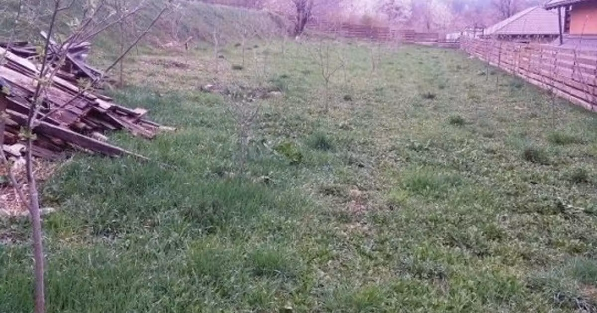 Teren Construcții intravilan de vânzare de 2000 mp, în zona Vest, Piatra-Neamț