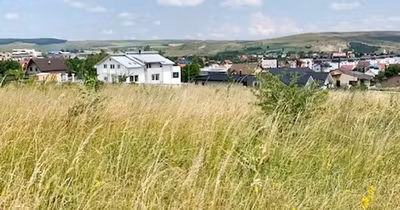 Teren Calea Romanului