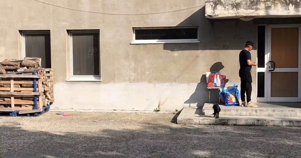 Spațiu comercial de vânzare 1100 mp în zona Nord, Piatra-Neamț