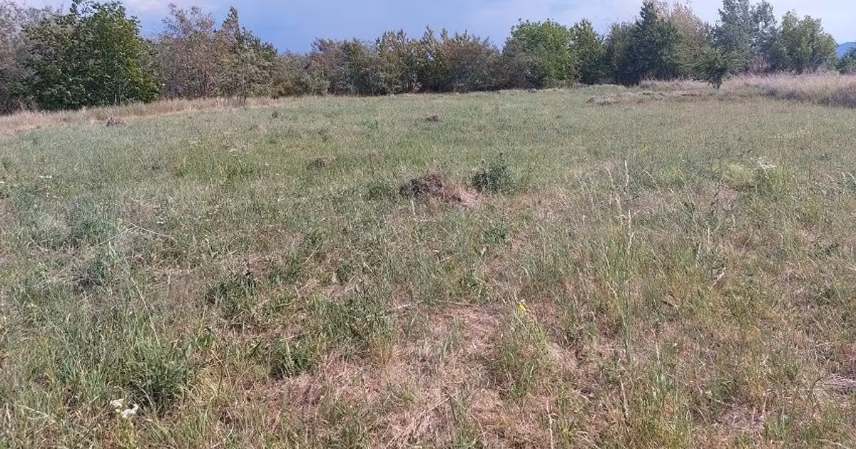 Teren Construcții intravilan de vânzare de 1100 mp, în zona 1 Mai, Piatra-Neamț
