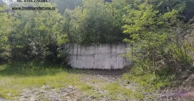 Teren Dărmănești