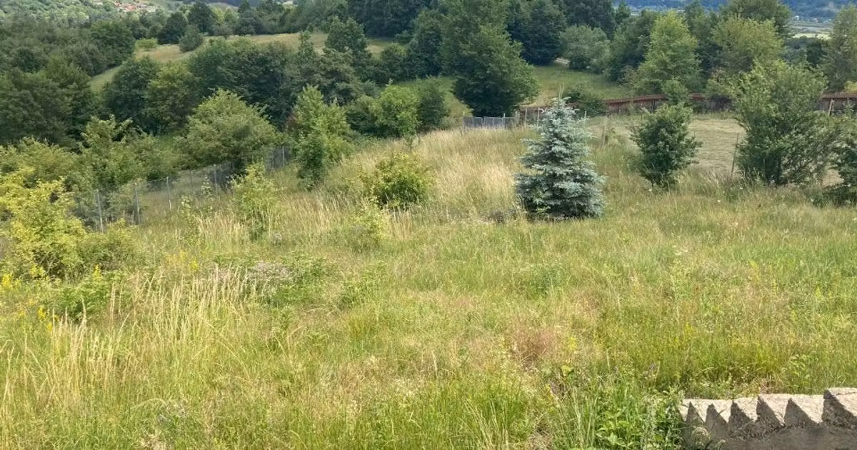 Teren Construcții intravilan de vânzare de 3000 mp, în zona Exterior Vest, Piatra-Neamț