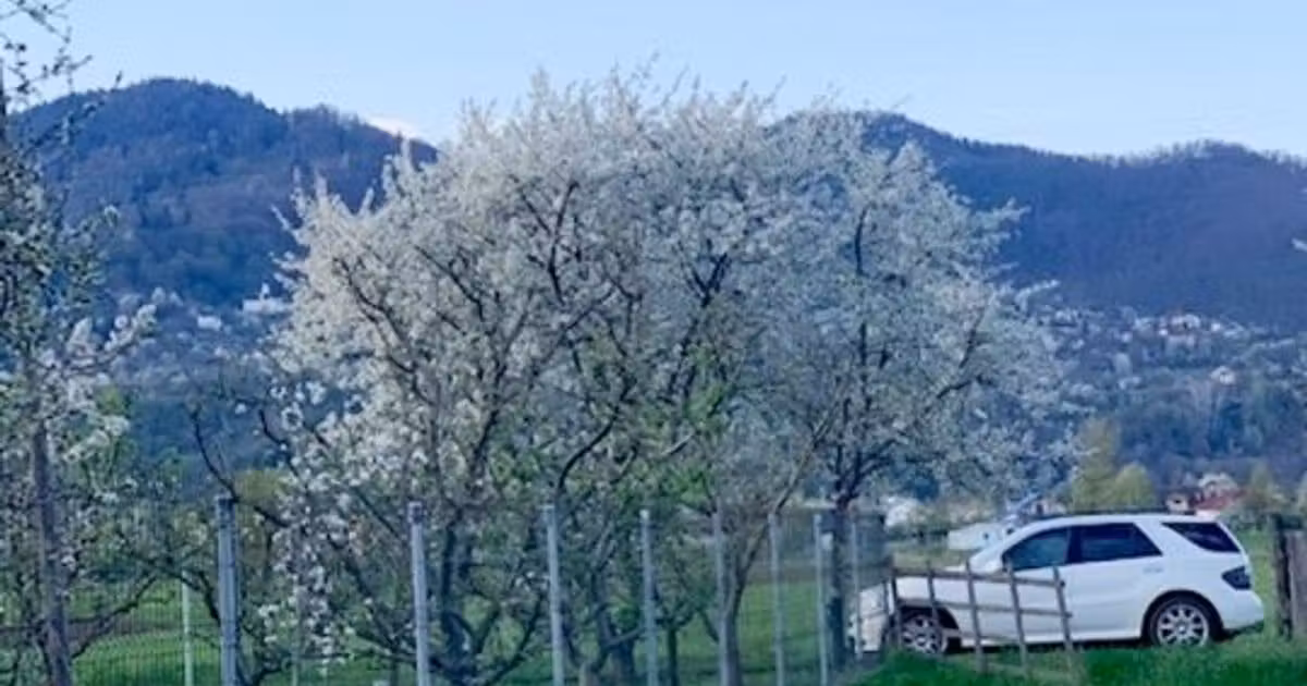 Teren Construcții intravilan de vânzare de 2990 mp, în zona Exterior Vest, Piatra-Neamț