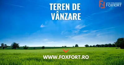 Teren Șagului