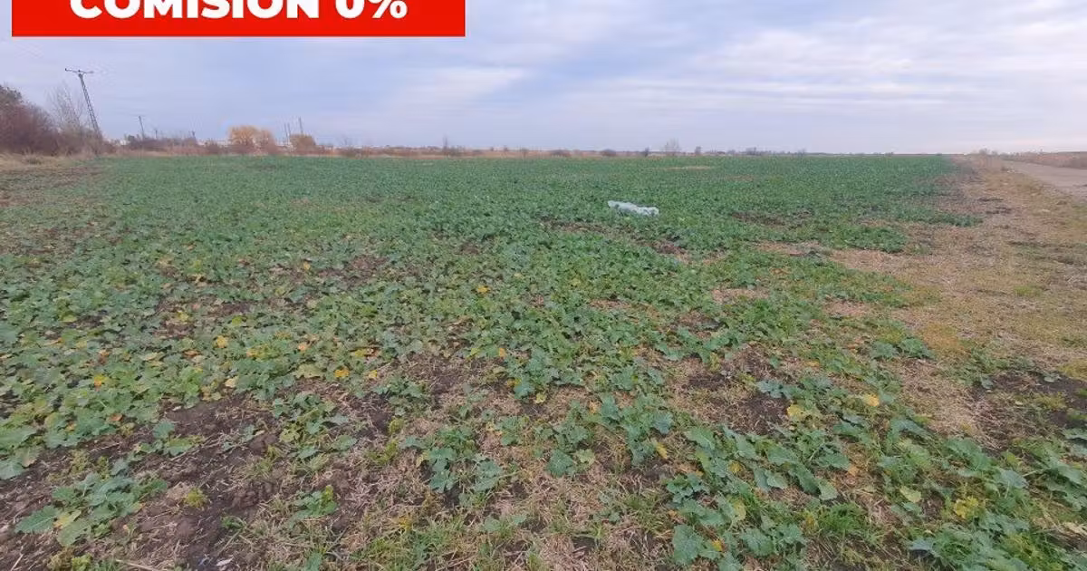 Teren agricol intravilan de vânzare de 70000 mp, în zona Sud, Timișoara