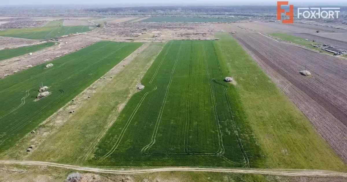 Teren agricol extravilan de vânzare de 10000 mp, în Giroc