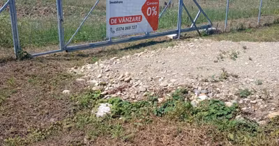 Teren Aradului