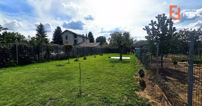 Casă Miniș