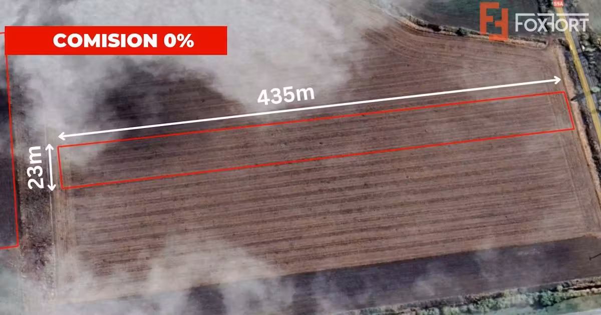 Teren agricol extravilan de vânzare de 10000 mp, în Beregsău Mare