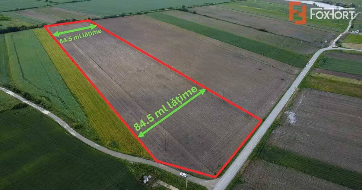 Teren Construcții intravilan de vânzare de 40600 mp, în Bucovăț (Remetea Mare)