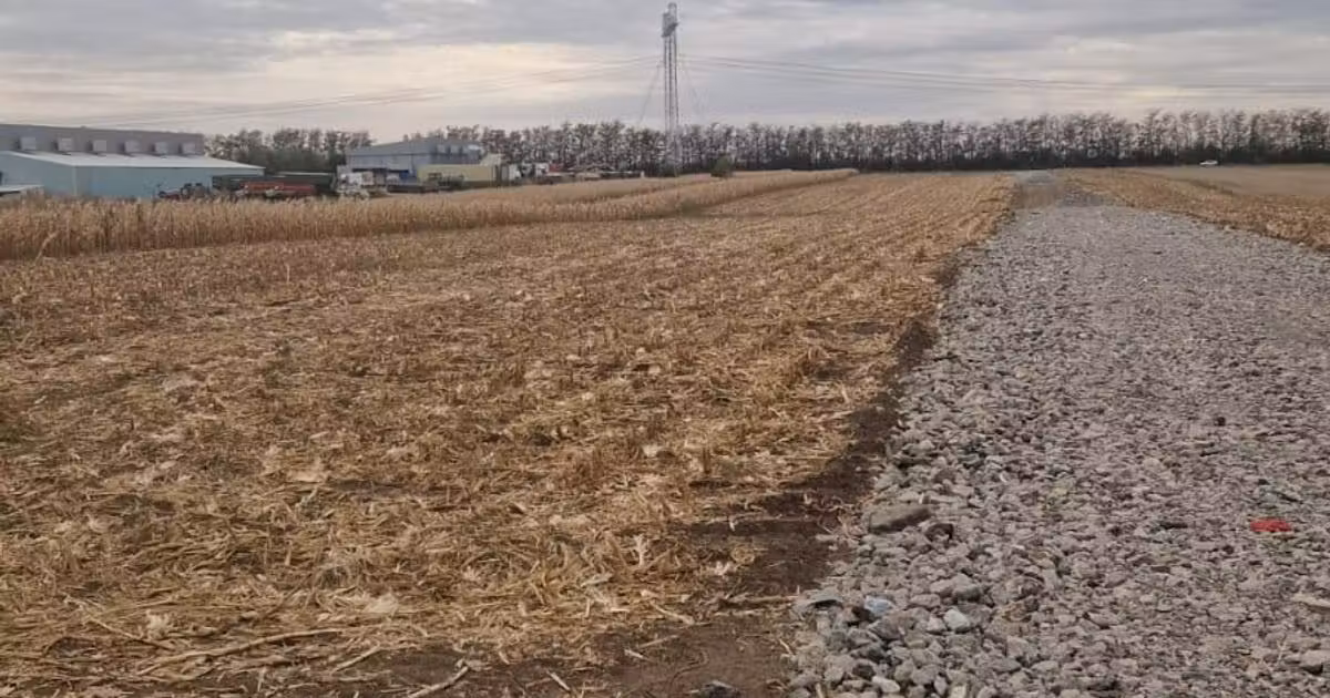 Teren Construcții intravilan de vânzare de 11000 mp, în Frumușani