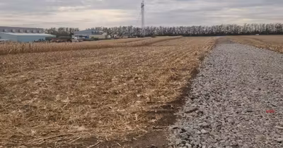 Teren Frumușani