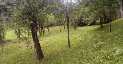 Teren Șotrile