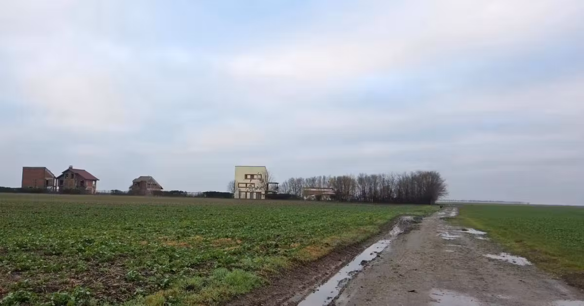 Teren Construcții intravilan de vânzare de 76622 mp, în Frumușani