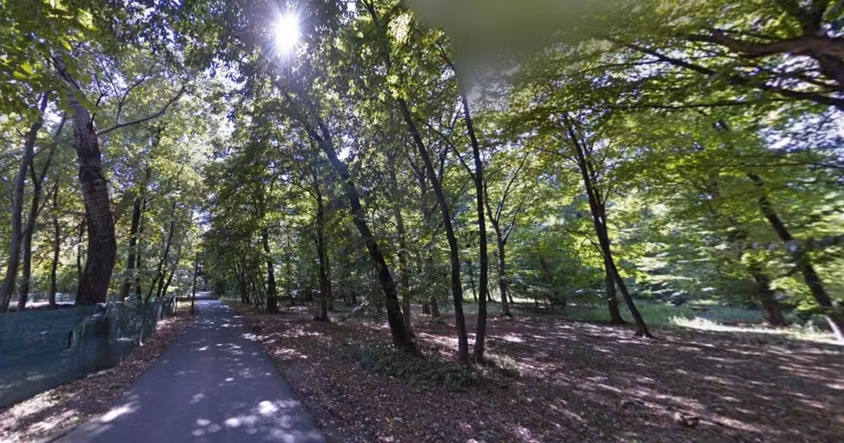 Teren Construcții intravilan de vânzare de 2530 mp, în Snagov