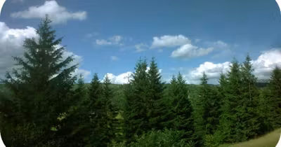 Teren Poienile de sub Munte