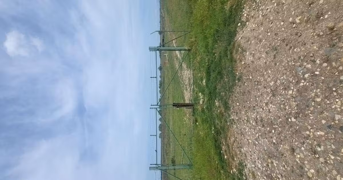 Teren agricol intravilan de vânzare de 100000 mp, în Sintea Mare