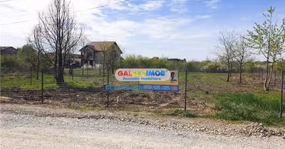 Teren Mogoșoaia