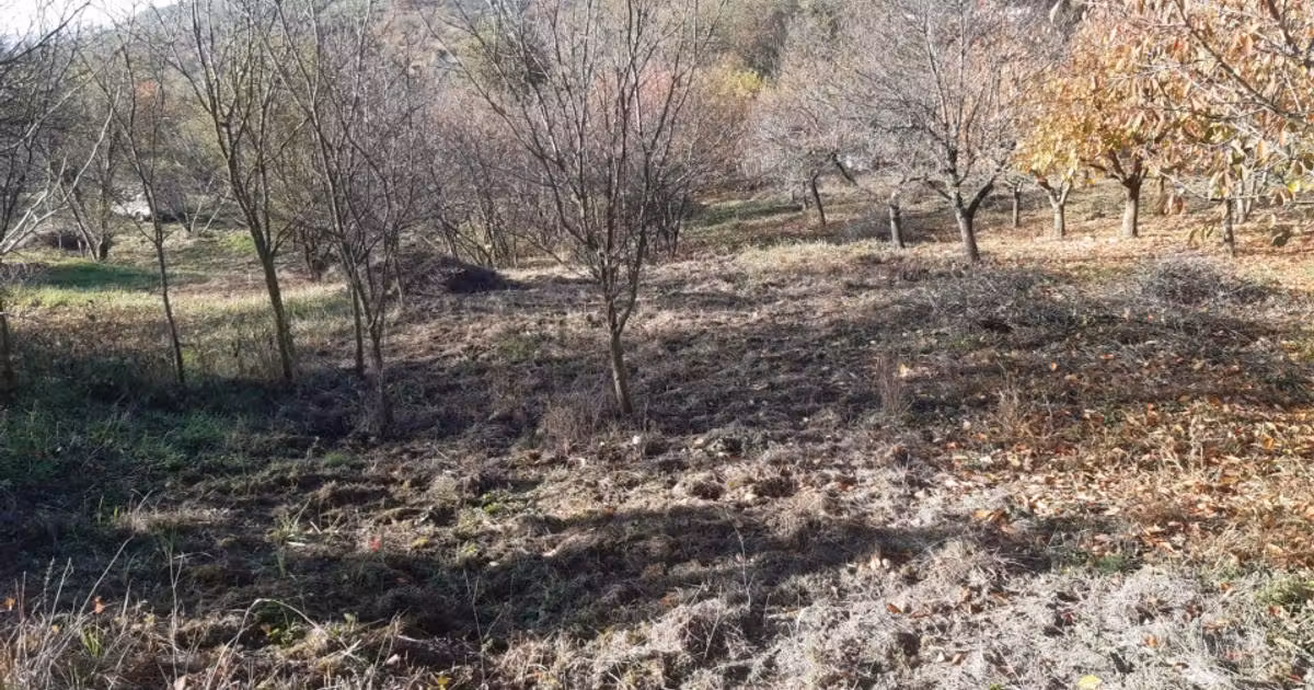 Teren agricol extravilan de vânzare de 4460 mp, în zona Podgoria, Oradea