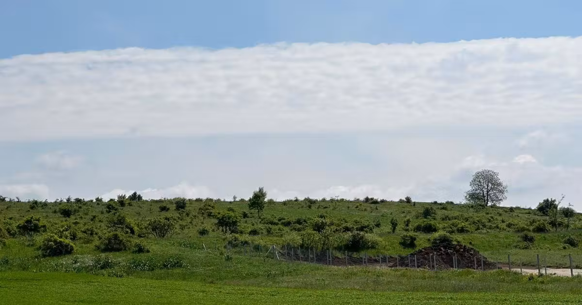 Teren agricol extravilan de vânzare de 4820 mp, în zona Episcopia Bihorului, Oradea