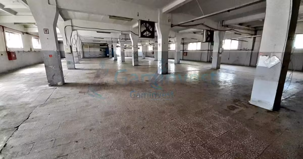 Spațiu industrial de vânzare 5000 mp în zona Seleuș, Oradea