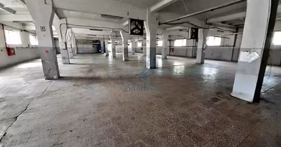 Spațiu comercial Nufărul