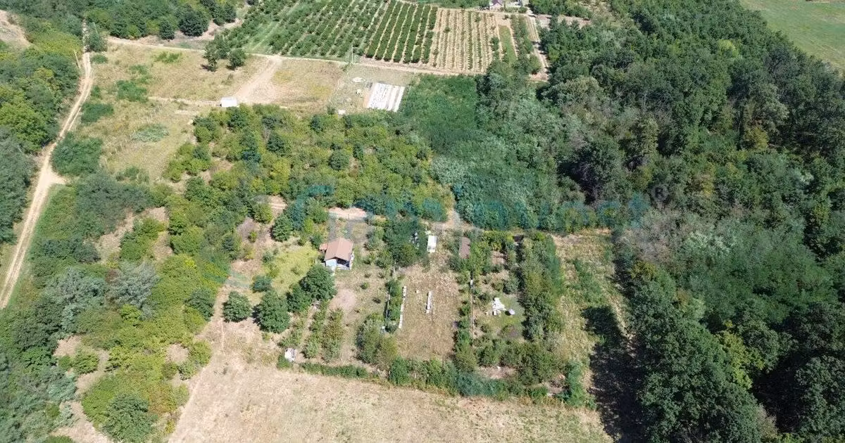 Teren Construcții intravilan de vânzare de 1200 mp, în Paleu