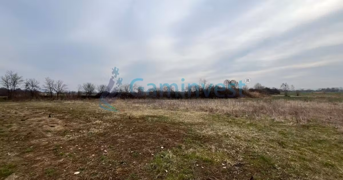 Teren Construcții intravilan de vânzare de 5700 mp, în Oșorhei
