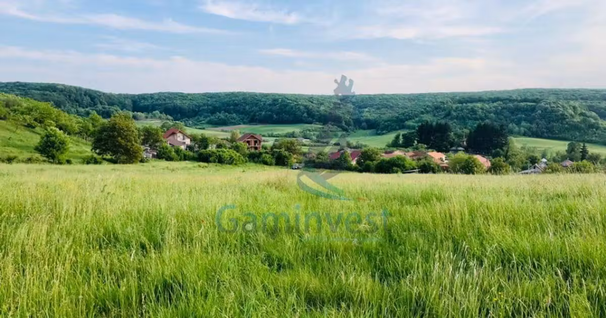 Teren Construcții intravilan de vânzare de 11388 mp, în Hidișelu de Sus